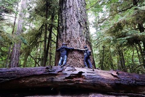 21 of the Best Things to Do in Victoria, BC - Must Do Canada