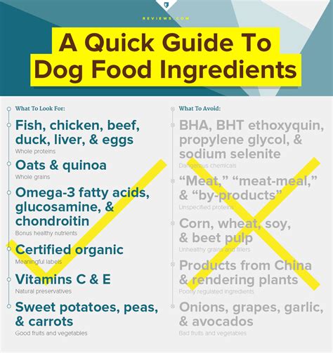 Check your dog food for these common, but dangerous dog food ingredients. New Research Shows 70% Of Dog Owners Unaware Of ...