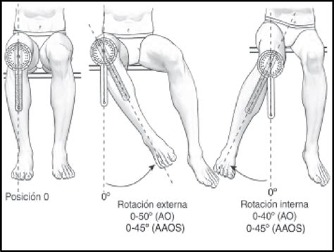 5 Goniometría en rotación lateral y medial en extremidad inferior