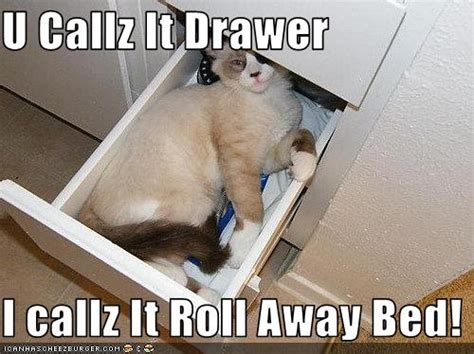 U Callz It Drawer I Callz It Roll Away Bed Cheezburger Funny Memes