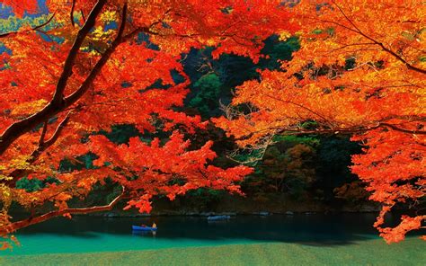 Wallpaper Japan Trees Landscape Colorful Fall Leaves Lake