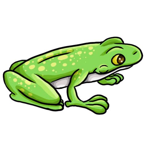 Realistic Frog Clip Art Clip Art Library