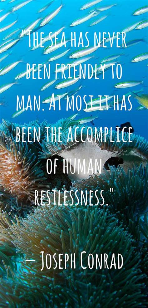 Maybe you would like to learn more about one of these? Our Favorite Ocean Quotes and Sayings - Art of Scuba Diving