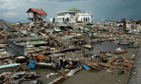 It was a miracle that thulaasi survived the ordeal. Tsunami 2004 : तबाही का वो मंजर जिससे कांप जाती है रुह