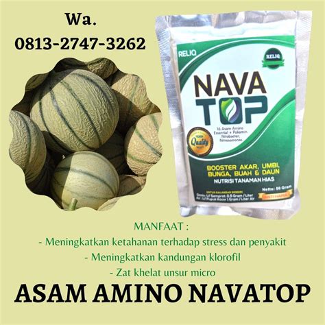 Call0813 2747 3262 Distributor Pupuk Menanam Melon Di Kabupaten Tuban