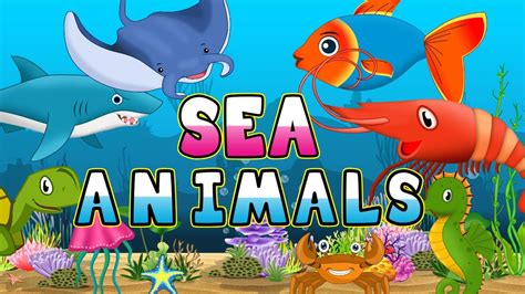 Sea Animals Name Aquatic Animal Name For Kids Ocean