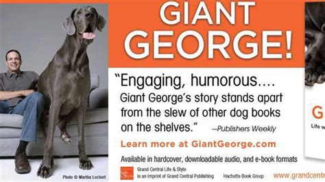 Giant George Worlds Tallest Dog Dies