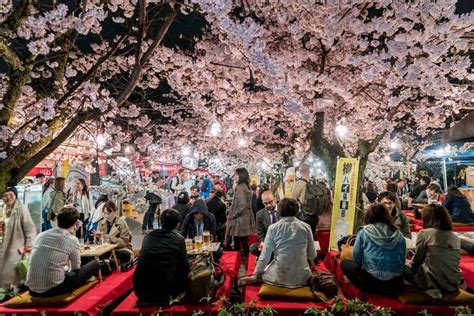 Cherry Blossoms In Kyoto When And Where To See Sakura In Spring 2021