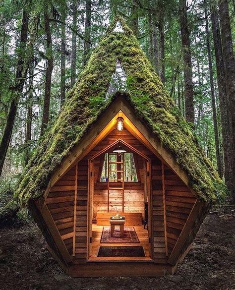 ᴛʀᴀᴠᴇʟꜱ ꜰʀᴇᴇ 🌍 On Instagram House In The Forest 😍 Tag Your Friends To