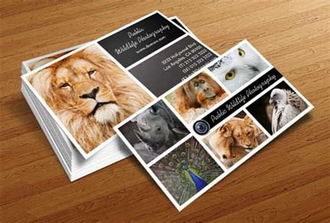 I found 4 free photography business cards with a 3 set bundle including in the first and the rest of them are less used beacuse they are premium. wildlife photographer business card | Photography business cards, Photographer business cards ...