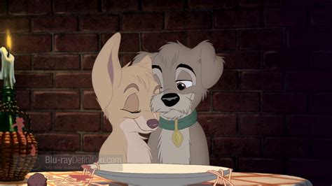 Lady And The Tramp 2 Lady And The Tramp Ii Photo 36563705 Fanpop