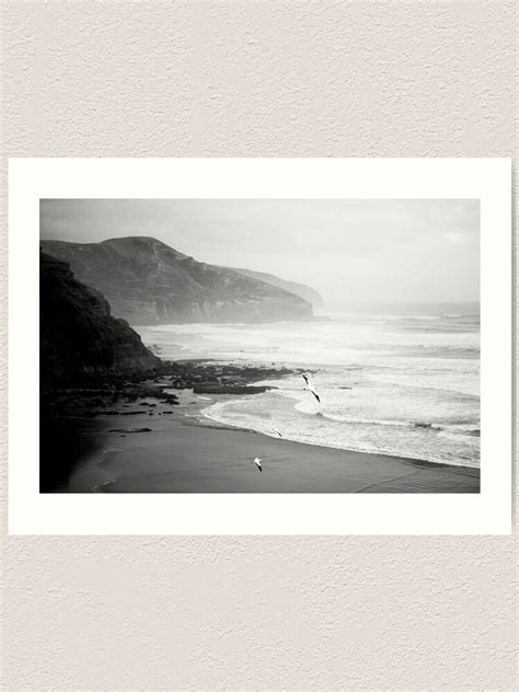 Gannets On Muriwai Beach Art Print For Sale By Vanoostrum Redbubble