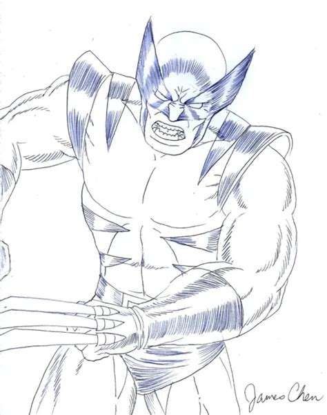 Wolverine X Men Original Comic Art Pencil Sketch By Comic Artist James