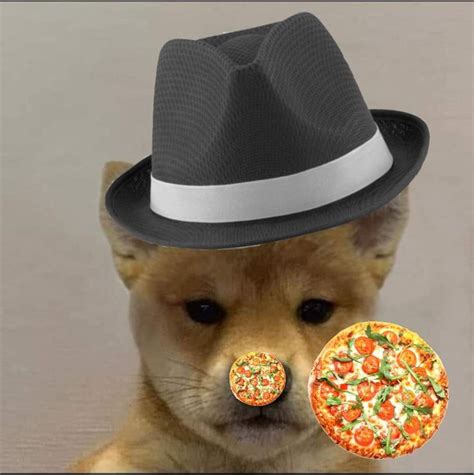 Pin On Doge Wit Hat