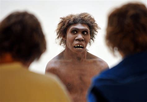 Modern Humans Had Sex With Denisovan Cousins Too Not Just Neanderthals