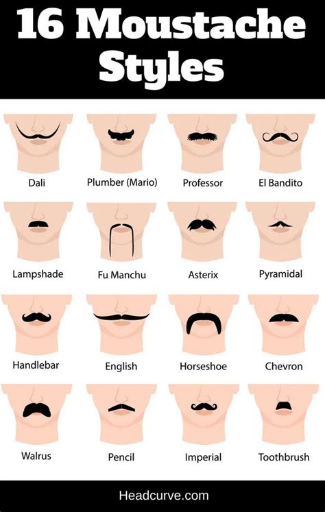 16 moustache styles and names chart and illustrations moustache style mustache styles