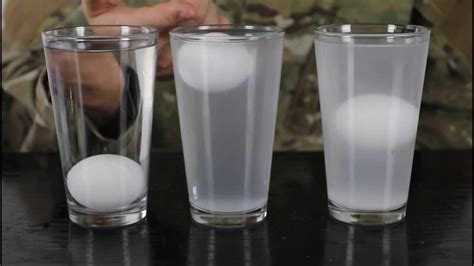 Eggs And Salt Water Water Density Science Experiment Youtube