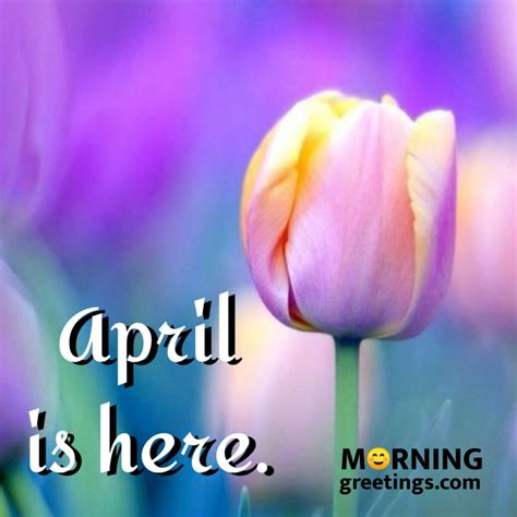 40 Best April Morning Quotes And Wishes Morning Greetings Morning