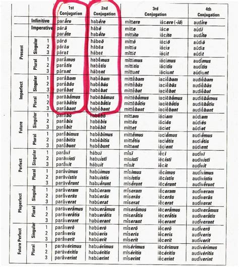 Latin I Latin Verb Charts And Assignment