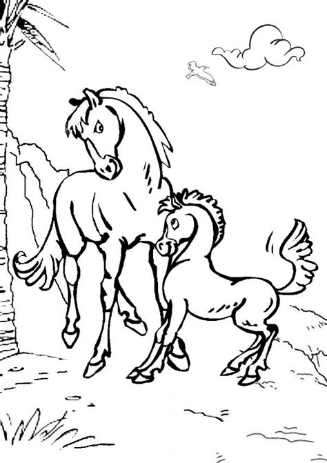 Mom And Baby Horse Coloring Pages At