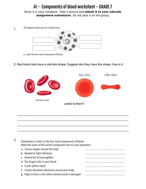 Hematology By Numbers Worksheet