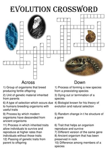 Biology Crossword Puzzle Evolution Includes Solution Teaching