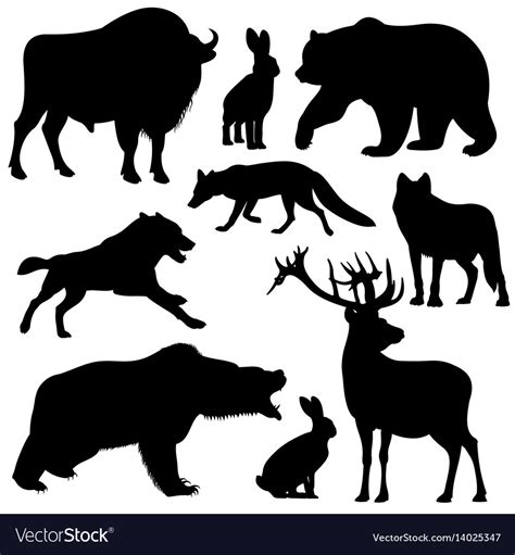 Black Outline Wild Forest Animals Royalty Free Vector Image