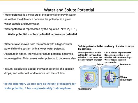 Ppt Water Potential Powerpoint Presentation Free Download Id9421311