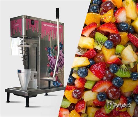 Trendyblends Real Fruit Ice Cream Blender