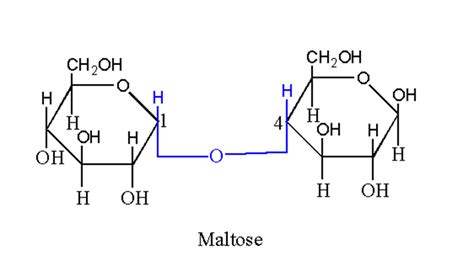 Introduction To Maltose Structure Properties Applications Benefits
