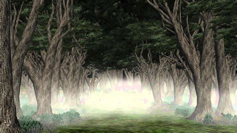 Spooky Forest Wallpaper 68 Images