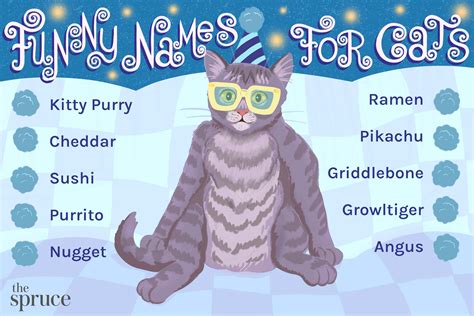 117 Funny Cat Names