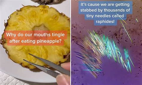 Scientist Reveals Why Your Mouth Really Tingles After You Eat Pineapple