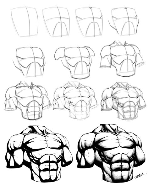 How To Draw A Male Torso Step By Step By Robertmarzullo On Deviantart
