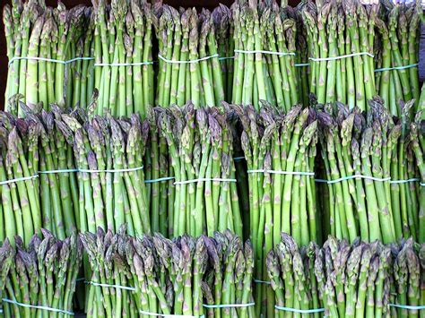 Fileasparagus Image Wikimedia Commons