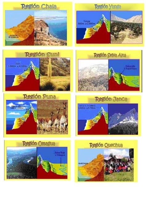 Triptico Ocho Regiones Naturales Del Peru Ocho Region