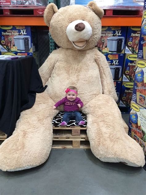 22 Reasons Costco Is America S Greatest Achievement Costco Bear Teddy Bear Giant Teddy Bear