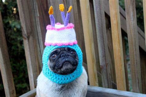 Happy Happy Birthday Cake Dog Hat Made To Order Etsy