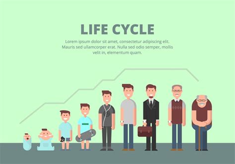 The Life Cycle Discuss The Five States Of The Human Life Cycle 709