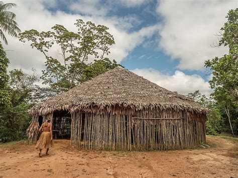 Amazon Rainforest People Homes