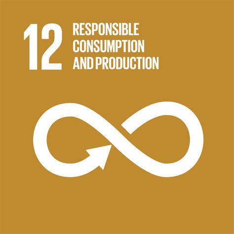 Sustainable Development Goal Responsible Consumption And Production Gordon S Lang School