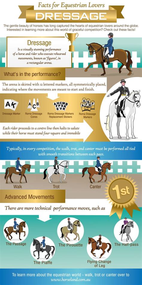 Dressage Facts For Equestrian Lovers Visually Eventing Horses