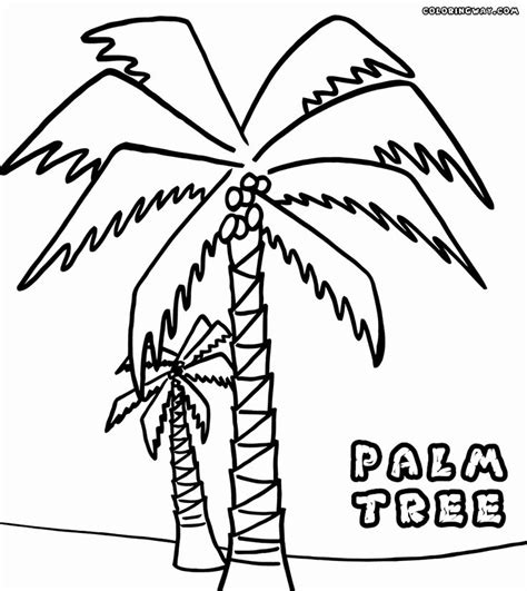 printable palm leaf coloring page  printable palm tree coloring page palm tree drawing