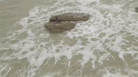 Breaking What Appears To Be A Mermaid Has Washed Up On A Beach In
