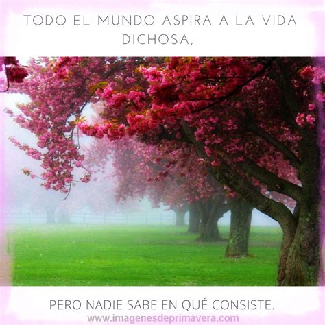 Paisajes Hermosos Para Fondo - SEONegativo.com