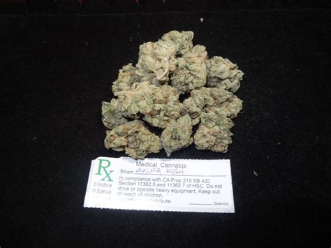 Khalifa Kush Strain Allbud