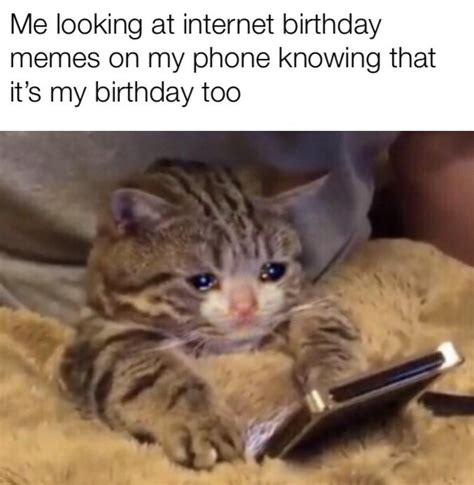Sad Cat Birthday Meme Quotes Viral