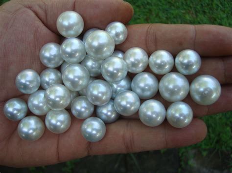 White South Sea Pearls