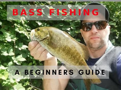 Beginners Guide To Fishing For Bass Its Easier Than You Think