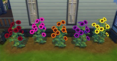 Ts2 Sunflowery Shrubbery By Adonispluto At Mod The Sims